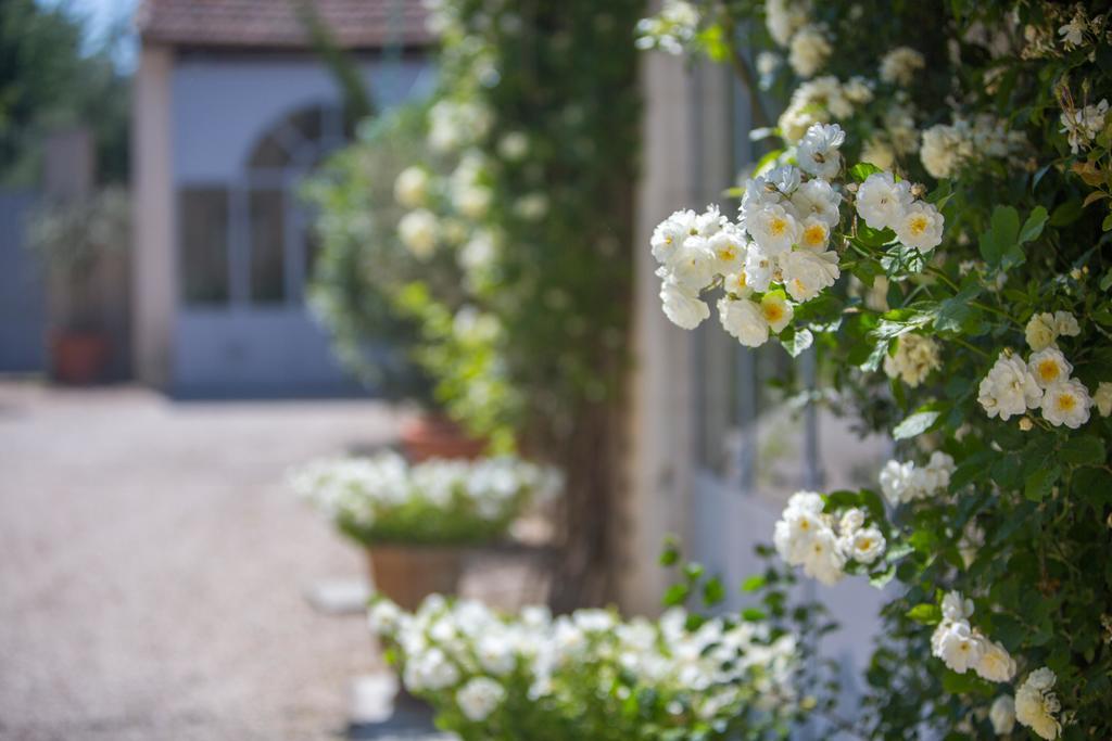Отель Domaine De Blanche Fleur Chateauneuf-de-Gadagne Экстерьер фото